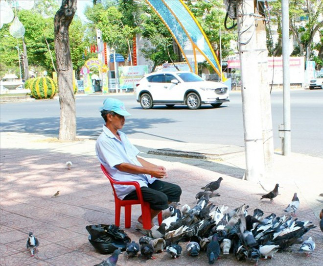 Suốt 12 năm, ông Chương vẫn ngồi ở đây chăm sóc đàn chim trời
