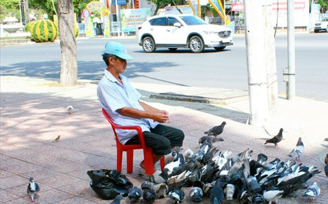 Người đàn ông Cần Thơ suốt 12 năm kiếm tiền nuôi đàn chim trời, coi như con ruột Ảnh 2