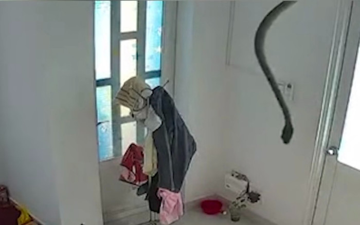 Đang đi làm mà nghe camera báo động, chàng trai mở ra xem thì thấy cảnh khó tin Ảnh 2