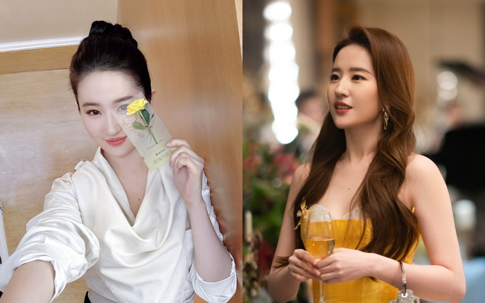 Nhờ Hoàng Diệc Mai, hoa hồng vàng bắt đầu cháy hàng ở nội địa và quốc tế.