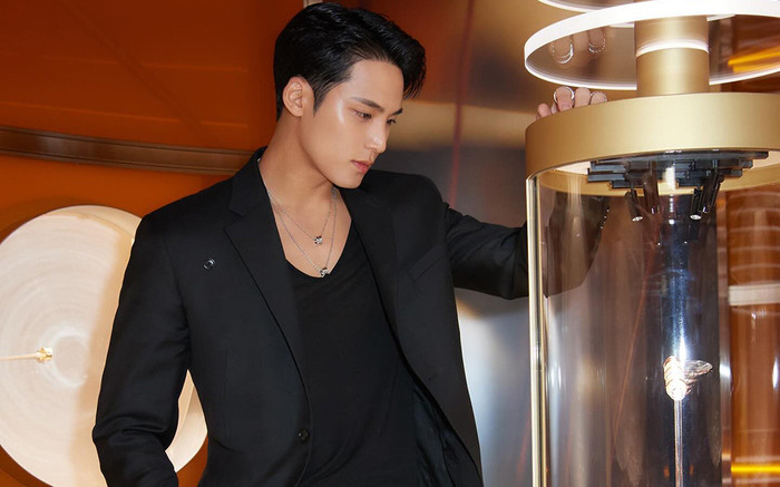 Mingyu (SEVENTEEN) bảo vệ fan dù đang bị bao vây: 'Đã đẹp trai lại còn ấm áp' Ảnh 2