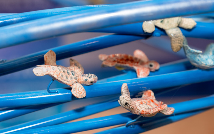 Độc đáo 1001 rùa biển bằng gốm được nặn hoàn toàn bằng tay Ảnh 2