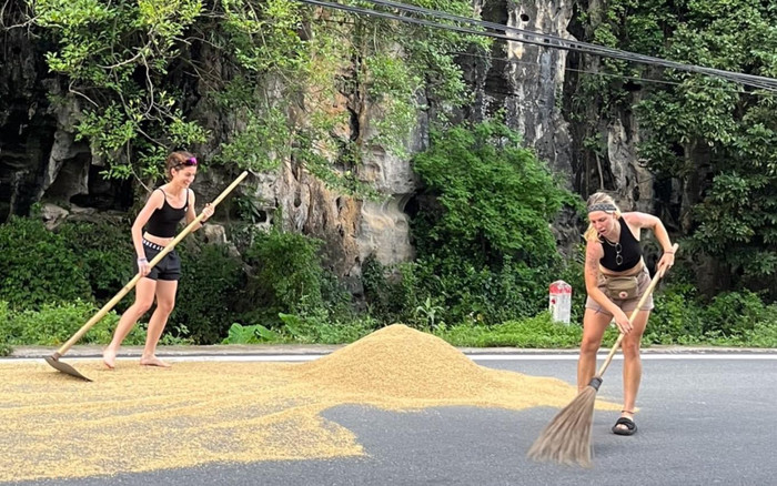 Độc lạ khách Tây sang Việt Nam giúp bà con chạy lúa khi trời mưa Ảnh 2