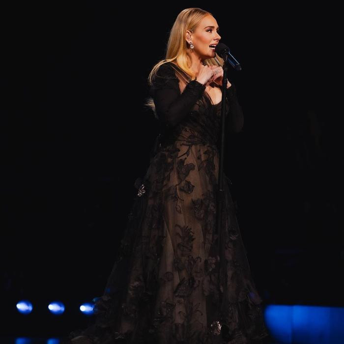 Adele phản ứng thế nào khi bắt gặp 'bản sao' của mình trong show diễn? Ảnh 2