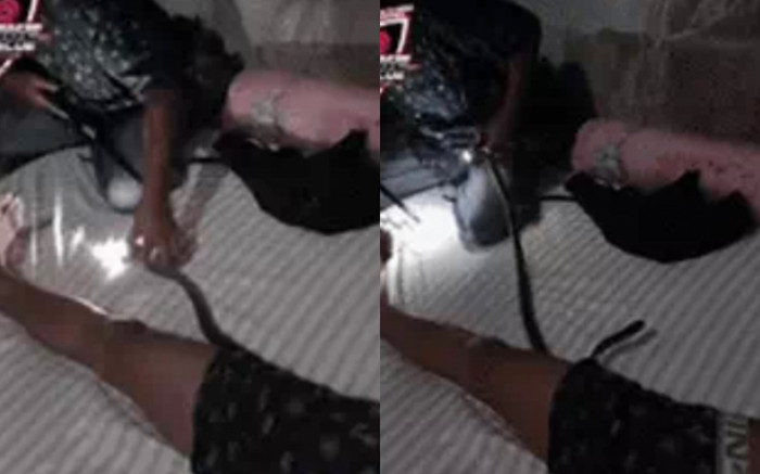 Giải cứu người đàn ông bị rắn hổ mang bò vào quần, không dám thở mạnh vì sợ bị cắn Ảnh 2