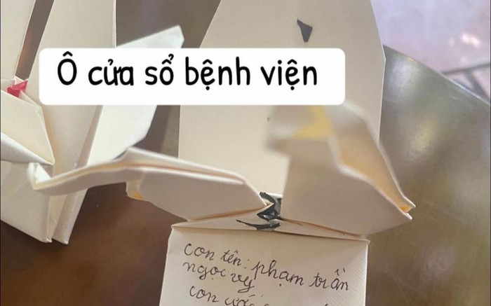 Dòng chữ ngắn của bé gái để lại trong cánh hạc giấy khiến nhiều người rưng rưng Ảnh 2