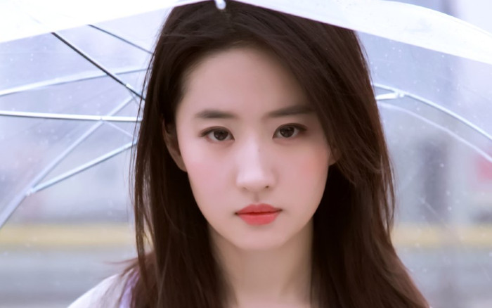 Dì Lưu Diệc Phi: Đẹp hơn cả chị gái, bảo sao 'Thiên tiên' tự nhận xấu nhất nhà Ảnh 2