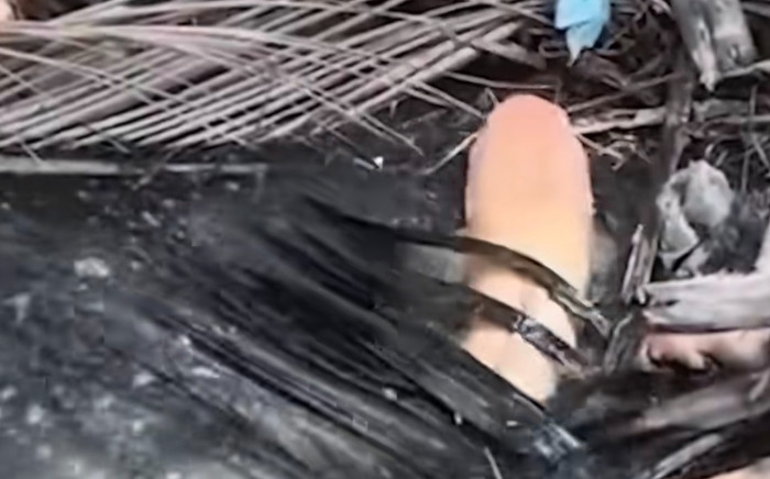 Khoe cảnh bắt được con cá trê vàng kỳ lạ, cộng đồng mạng tranh cãi hết lời Ảnh 2