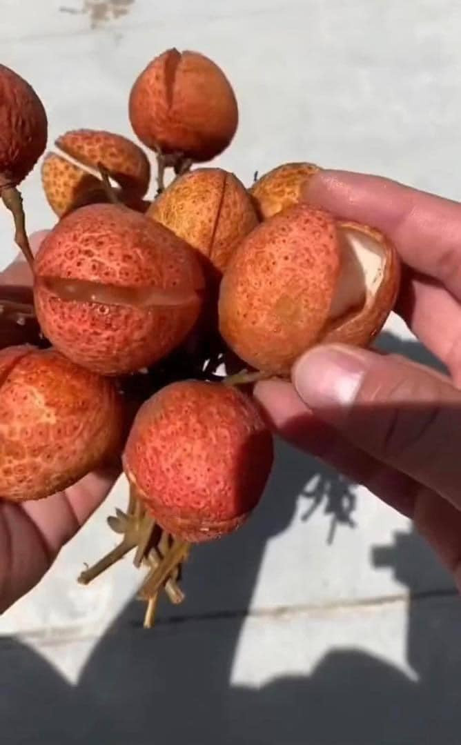 Hoá ra, đây là một 'cú lừa' mà thanh niên đã 'mắc bẫy'