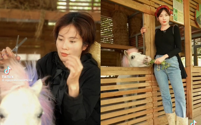 Lệ Nam thừa nhận bỏ xứ, về quê làm nông? Ảnh 2