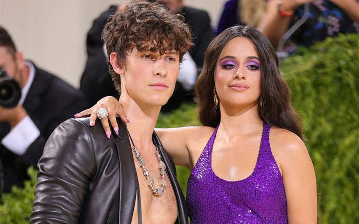Từ bản song ca định mệnh, 'Señorita' thành nỗi lo của Camila Cabello sau chia tay Shawn Mendes? Ảnh 2