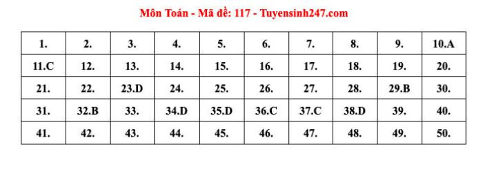 Đáp án tham khảo môn Toán thi tốt nghiệp THPT năm 2024 Ảnh 3