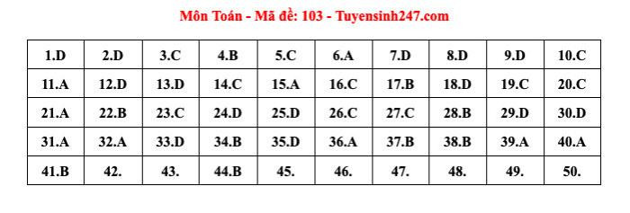 Đáp án tham khảo môn Toán thi tốt nghiệp THPT năm 2024 Ảnh 6