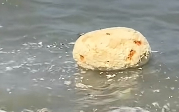 Đi dạo bờ biển, thanh niên bất ngờ đổi đời khi phát hiện 'cục vàng' có giá hàng tỷ đồng Ảnh 2