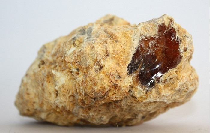 Long diên hương có giá trị rất cao.