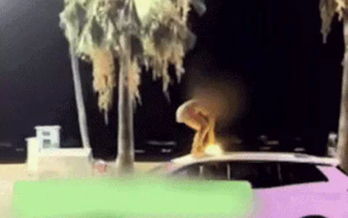 Cô gái có biểu hiện bất thường, lên nóc taxi nhảy múa khiến tài xế hốt hoảng Ảnh 2