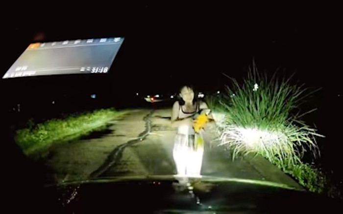 Bắt được chim lạ giữa đường, cô gái sốt vó khi biết giá trị hơn 100 triệu đồng Ảnh 2