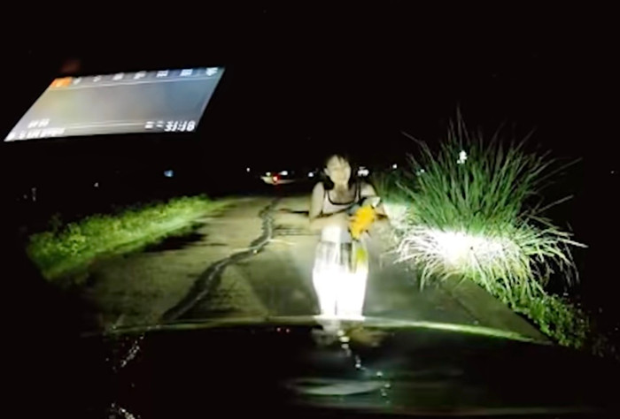 Chú chim bị lạc giữa đường và được cô gái cưu mang.