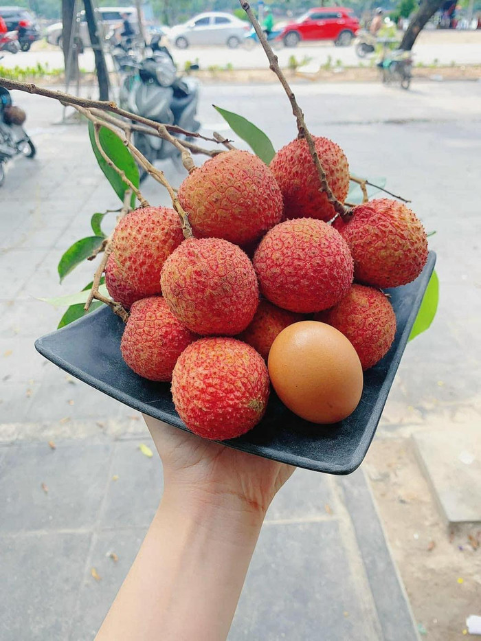 Quả vải to bằng quả trứng gà