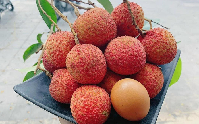 Loại vải đặc sản chỉ có ở Hưng Yên, 180.000 đồng/kg Ảnh 2