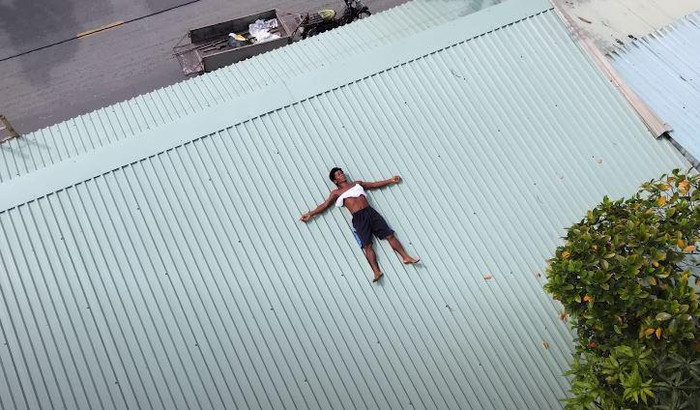 Anh Cò có sở thích phơi nắng