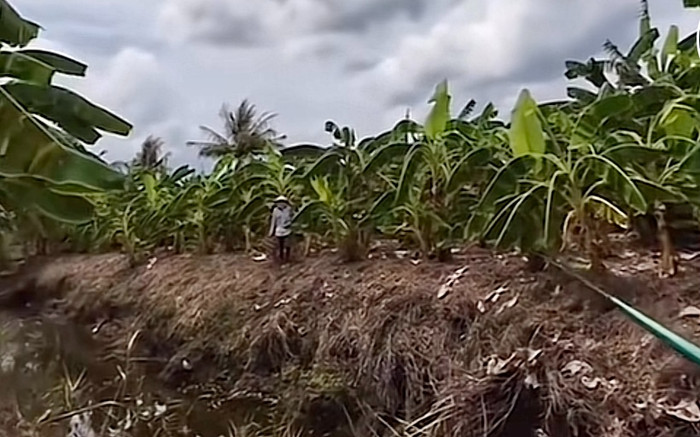 Câu cá ở ao người khác, cô gái bị chủ nhà dí 'chạy thục mạng' khiến ai cũng hồi hộp chờ cái kết Ảnh 2