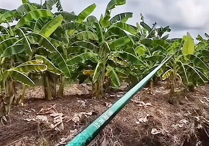 Buổi câu cá bất ổn của cô gái.