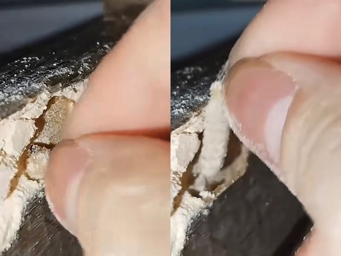 Đang ngủ mà nghe âm thanh lạ, người phụ nữ quyết tâm tìm thủ phạm lôi ra ngoài Ảnh 1