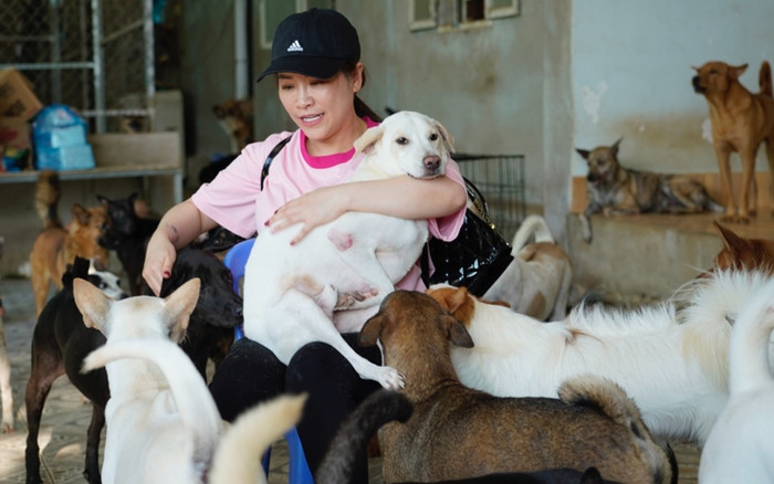 Vợ chồng diễn viên Việt vừa công khai ly hôn: 12 năm sống chung không con, nuôi thú cưng bầu bạn Ảnh 2
