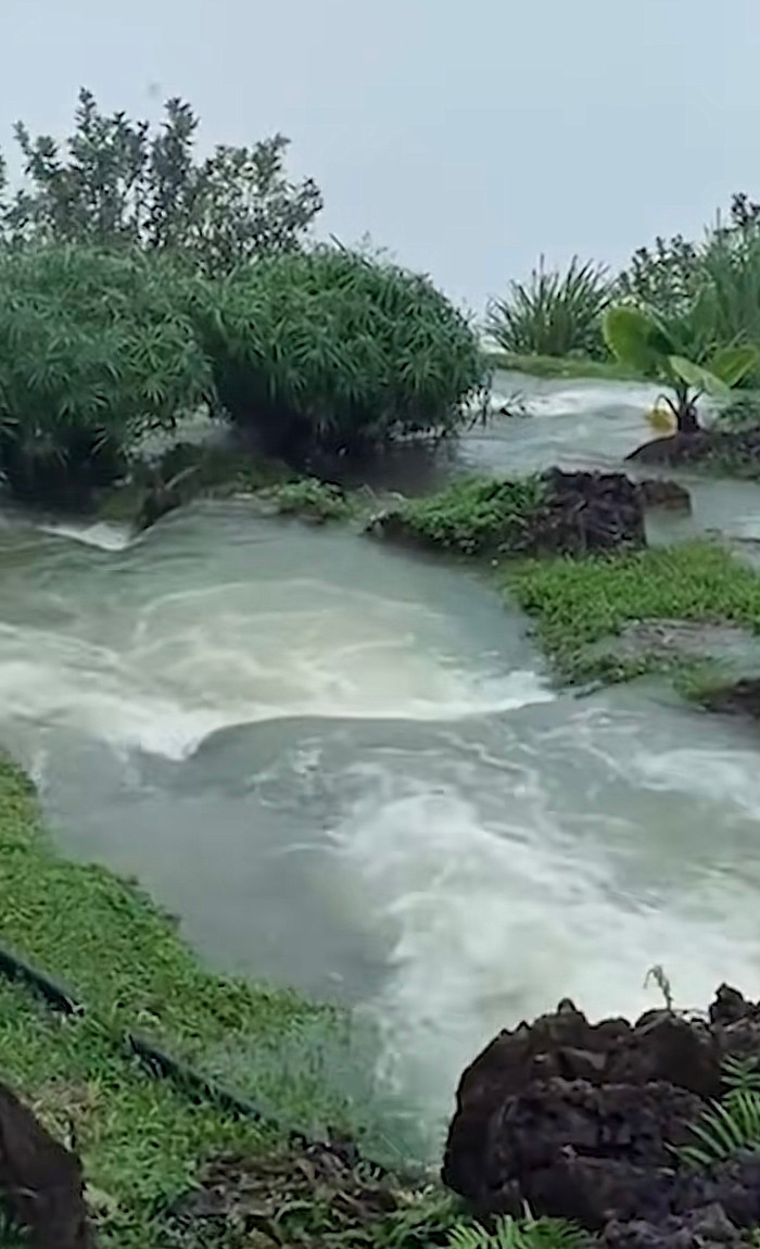 Thuê phòng ven suối để chữa lành, du khách nhận cái kết không tưởng Ảnh 2