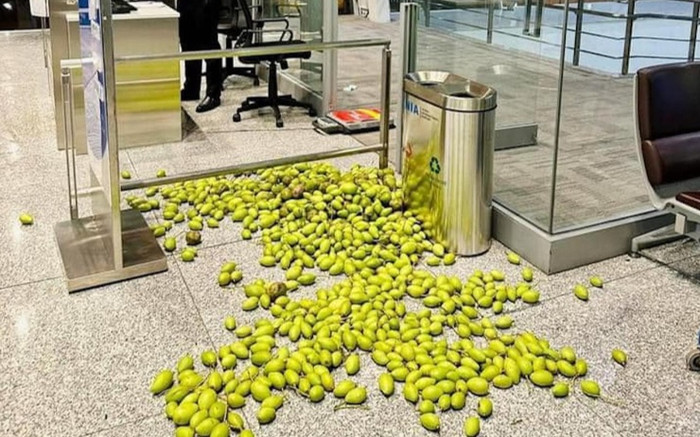 Xoài vãi đầy trên sàn nhà ga sân bay Nội Bài, netizen thốt: 'Vị khách đã gặp may' Ảnh 2