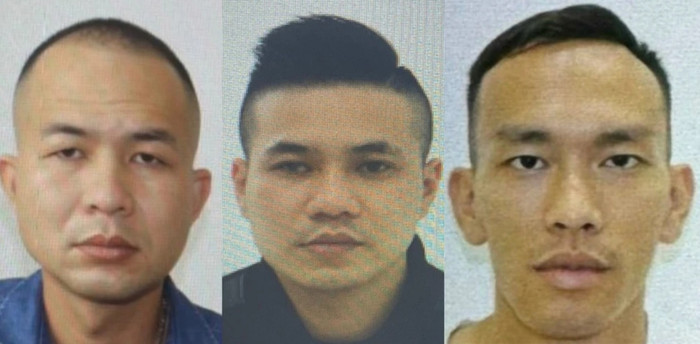 Đinh Xuân Sáng, Vũ Thành Quang, Nguyễn Xuân Đạt