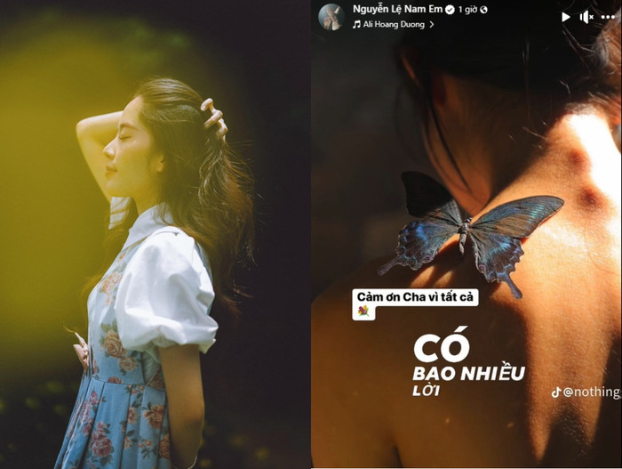 Nam Em gửi lời cảm ơn đến cha sau phát ngôn tuyên bố không gia đình. Ảnh chụp màn hình