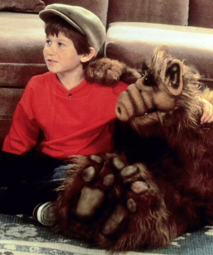 Chú chó Hans của Benji Gregory cũng đã chết trong xe của chủ.   