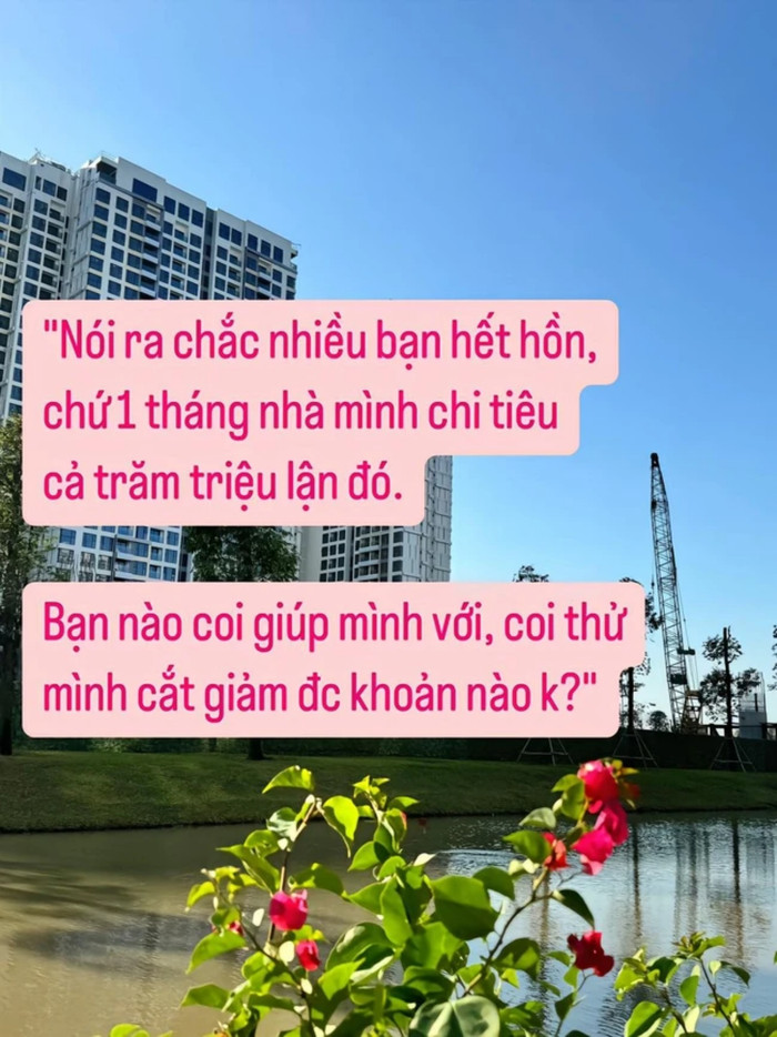 Mẹ Hà Nội chi tiêu gần 100 triệu/tháng cho 4 người, dân tình rần rần thắc mắc 1 chi tiết? Ảnh 1