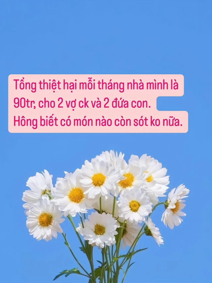 Mẹ Hà Nội chi tiêu gần 100 triệu/tháng cho 4 người, dân tình rần rần thắc mắc 1 chi tiết? Ảnh 2