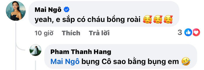 Mai Ngô tiết lộ chuyện Thanh Hằng mang thai con đầu lòng?