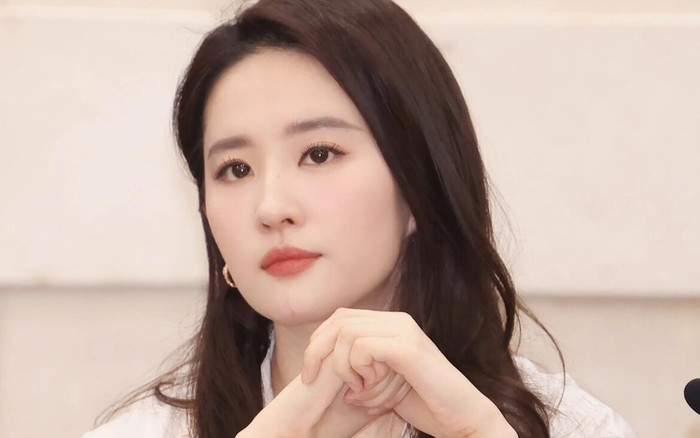 Lưu Diệc Phi bày tỏ thẳng thắn về việc lấy chồng hào môn Ảnh 2