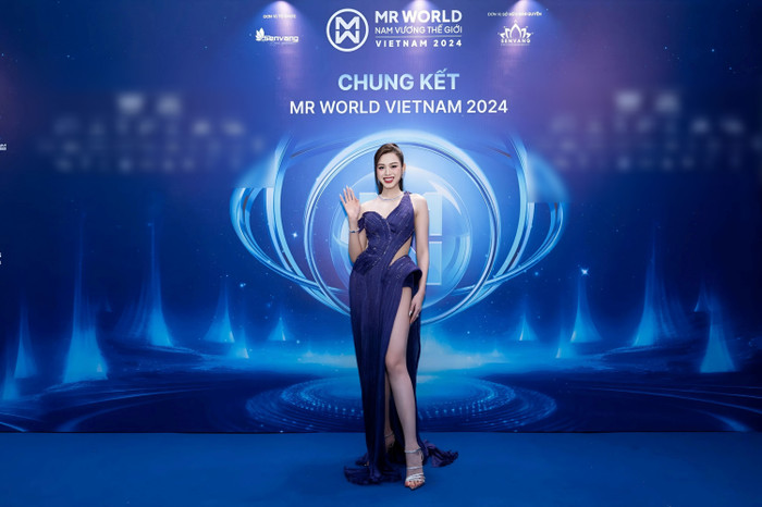 Xuất hiện tại thảm đỏ Mr World Vietnam, Hoa hậu Đỗ Thị Hà bị chê sến trong bộ cánh màu xanh. Với thiết kế không quá nổi bật, không tôn dáng người mặc. Nhưng nhờ ngoại hình sáng rực của Đỗ Hà nên đã có màn cứu thua trông thấy. Không ngoa khi nói nhan sắc Đỗ Thị Hà 'gánh còng lưng' chiếc váy dạ hội này.