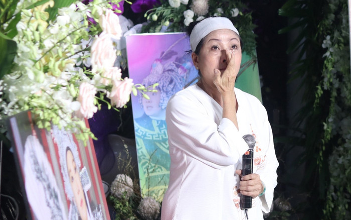 Em gái cố NSƯT Vũ Linh yêu cầu được lấy lại nhà, hưởng tài sản thừa kế Ảnh 2