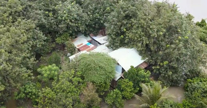 Chị Phương nuôi chó mèo tại khu đất này