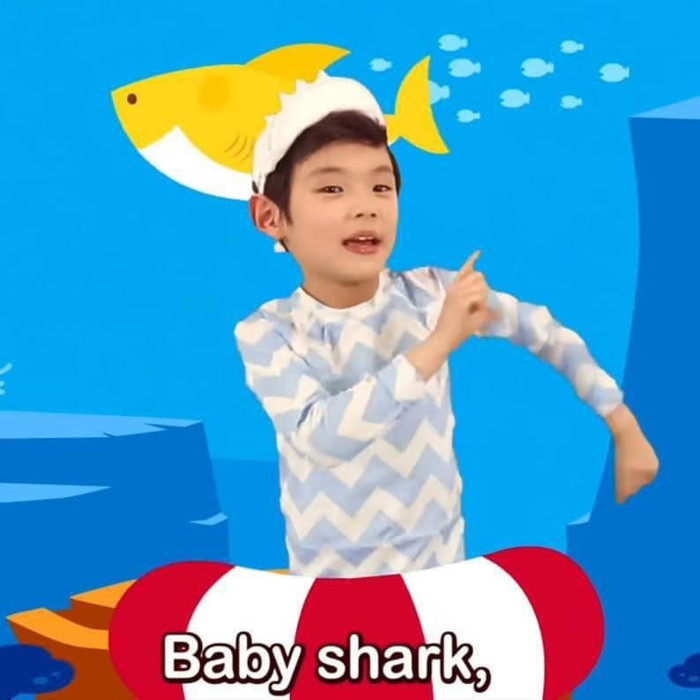 Cậu bé trong MV 'Baby Shark' hút hơn 14 tỷ lượt xem giờ ra sao? Ảnh 1
