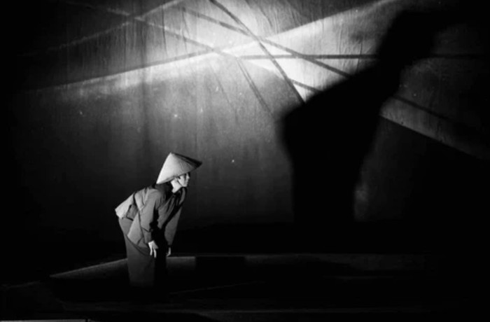 Nữ nghệ sĩ trên sân khấu.