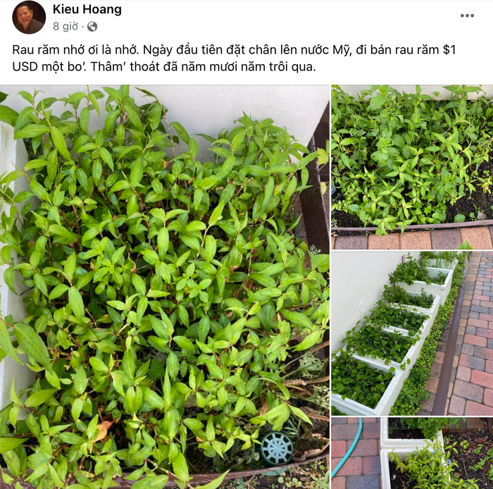 Tỷ phú Hoàng Kiều lần đầu tiết lộ về quá khứ bán rau răm.