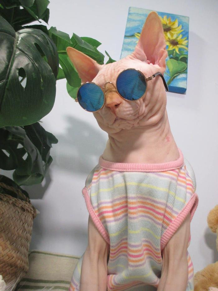 Giữa đêm, Khả Ngân khoe ảnh 'con cưng' cực yêu, giống mẹ như hai giọt nước Ảnh 3