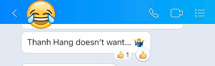 Ở một tài khoản khác, người này ghi rõ 'Thanh Hằng doesn't want' (tạm dịch: Thanh Hằng không muốn...). Ảnh: Facebook Hoàng Thuỳ