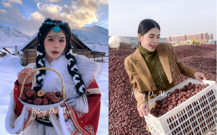 Hằng Du Mục bắt đầu chuyển hướng sang công việc bán hàng online với mặt hàng táo đỏ Tân Cương. Cô chăm chỉ chụp ảnh, đến tận nơi sản xuất để khách hàng yên tâm về chất lượng sản phẩm. Ảnh: FBNV