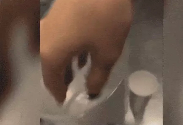 Nhân viên quán trà sữa nổi tiếng khuấy trân châu bằng tay không, hé lộ sự thật gây sốc Ảnh 2