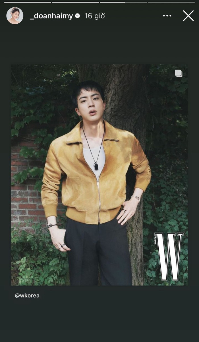 Doãn Hải My bày tỏ sự hâm mộ với thành viên Jin (BTS).