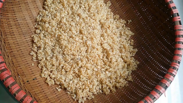 Mốc làm tương bần Hưng Yên phải là gạo nếp ngon